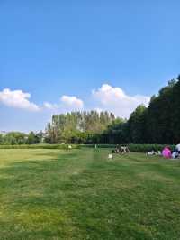 南京江心洲遛娃|真的已經到了next level