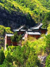 關閉近半個月的青蓮寺，終於恢復開放