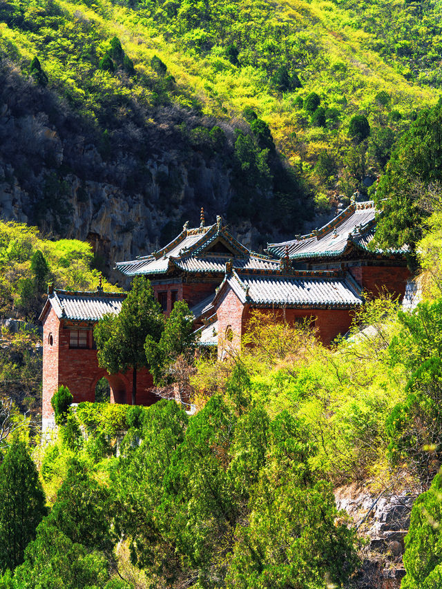 關閉近半個月的青蓮寺，終於恢復開放