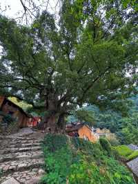 保留了350年的古村落