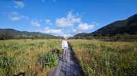 箱根濕生花園 —— 低調、但不可錯過的地方