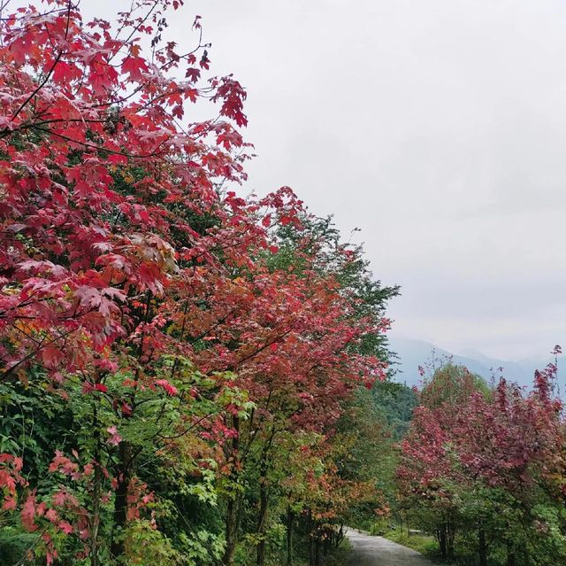 紅峽谷秋日野趣攻略