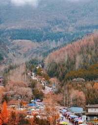 五臺山紅葉觀賞