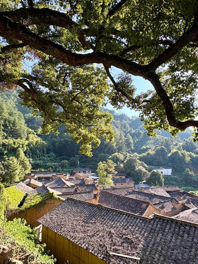 麗水松陽古村｜深藏山坳有人家 時光在此慢下來