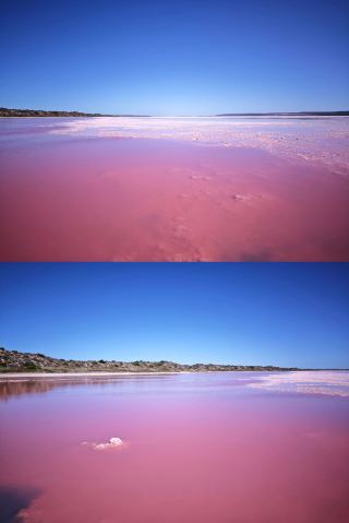 A girly dream come true stepping into the real-life "fantasy pink sea"