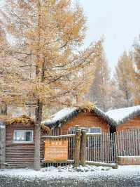 10.19實拍!!長白山下雪美哭了!!