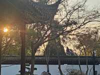 蘇州寒山寺深度攻略｜秋冬美到哭！聽鐘尋詩+出片全攻略