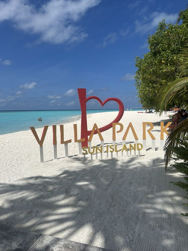 Amazing Resort Experience Amazing Resort Experience