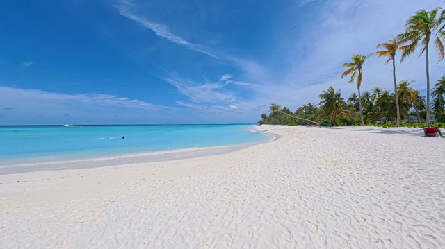 Perfectly Blissful Stay Perfectly Blissful Stay