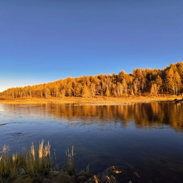 🇨🇳아얼샨, 자연의 아름다움과 불편한 현실 사이 🏔️ 🇨🇳아얼샨, 자연의 아름다움과 불편한 현실 사이 🏔️