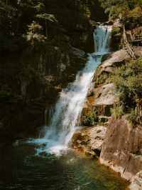 福建親子徒步天花板！漫步千年藤蔓森林，住溫泉別墅賞秋攻略