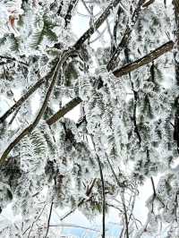 這裡不是阿凡達，是地球上的張家界！