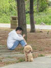 上林湖越窯博物館