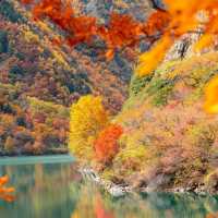 驚艷！川西小九寨松坪溝的秋色絕了一日打卡攻略