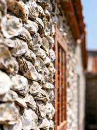 11月泉州：半城煙火半城仙世遺古城的蚵殼厝與開元寺銀杏慢時光