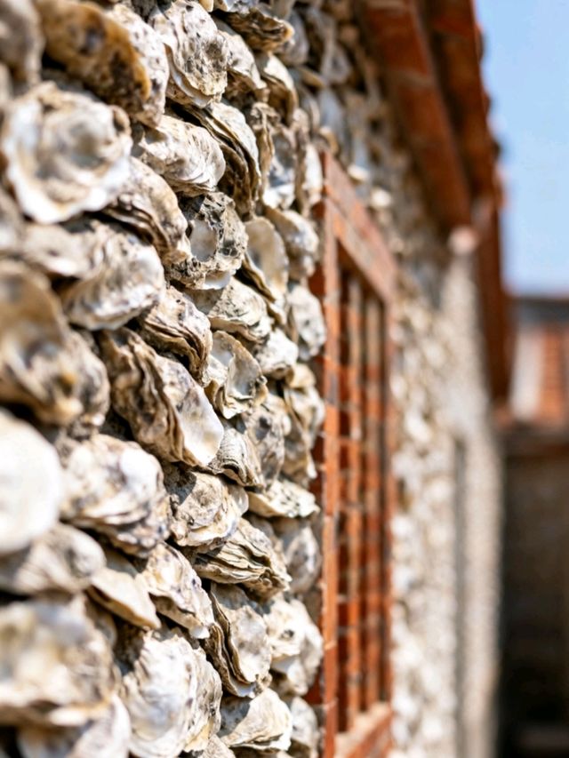 11月泉州：半城煙火半城仙世遺古城的蚵殼厝與開元寺銀杏慢時光