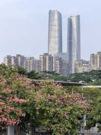 坂田雙子塔:深圳的閃耀CP✨