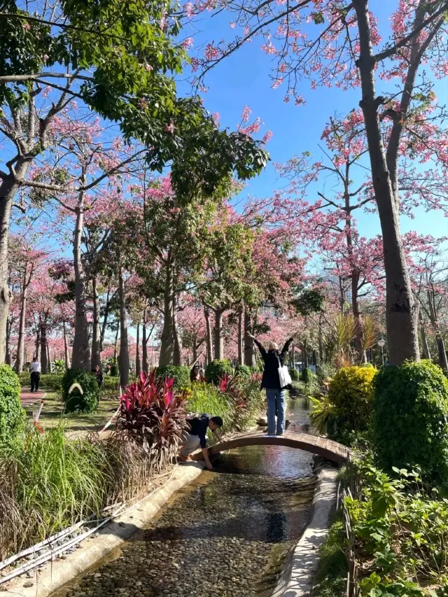 珠海淡季旅行人少更開心!