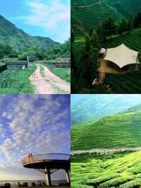 蒙頂山登天蓋寺觀雲海觸摸天空的藍