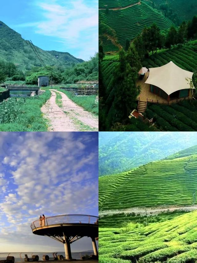 蒙頂山登天蓋寺觀雲海觸摸天空的藍