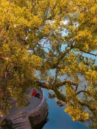 11月後來我逢人便說，婺源的秋景有多美