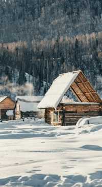 自駕新疆｜凜冬之際，與喀納斯的一場邂逅～