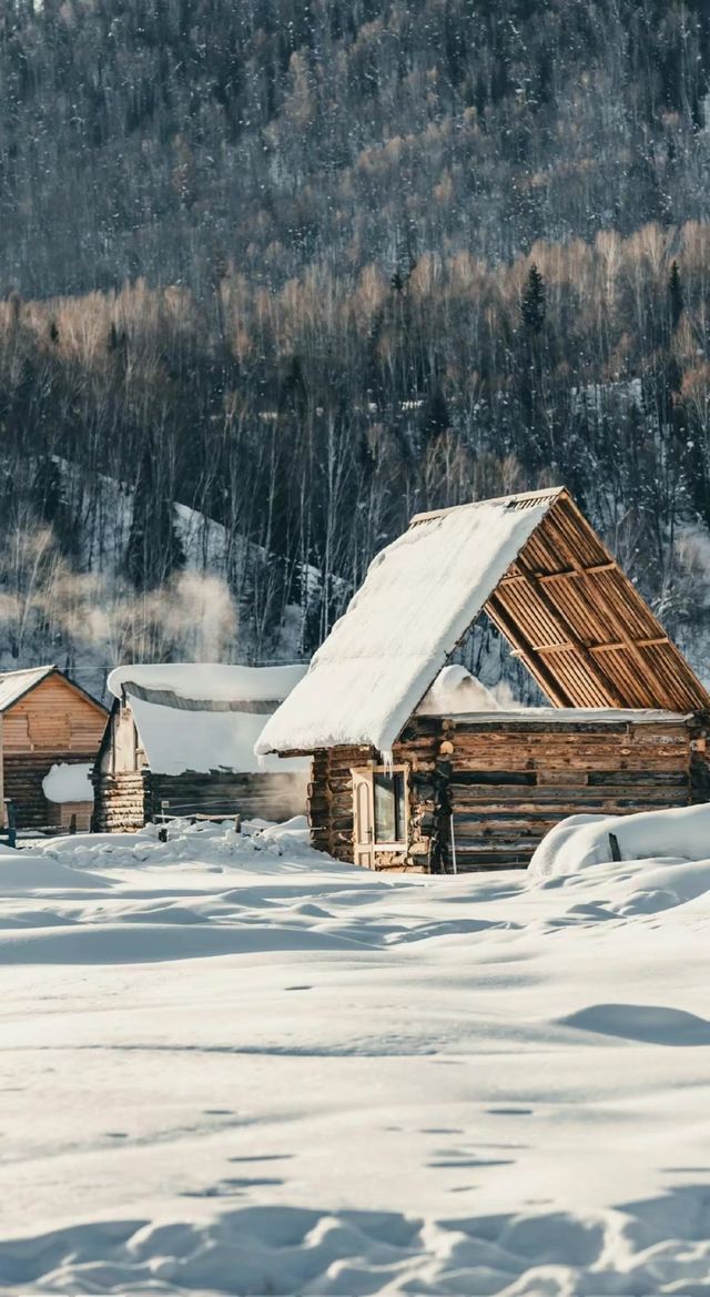 自駕新疆｜凜冬之際，與喀納斯的一場邂逅～