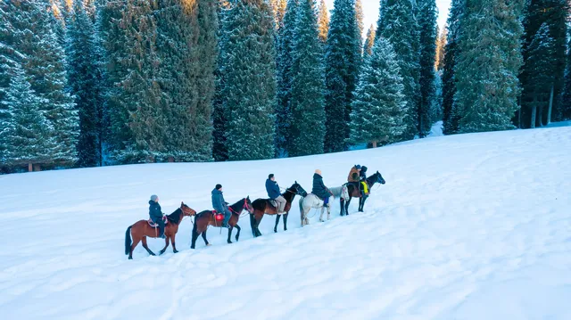 新疆伊犁的冬天,從瓊庫什台到庫爾德寧 新疆伊犁的冬天,從瓊庫什台到庫爾德寧