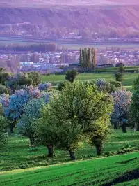 新疆伊犁隱藏的「神仙莊園」！住進油畫裡