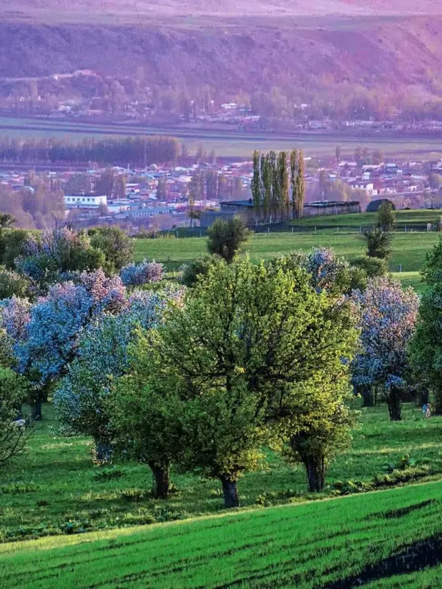 新疆伊犁隱藏的「神仙莊園」！住進油畫裡