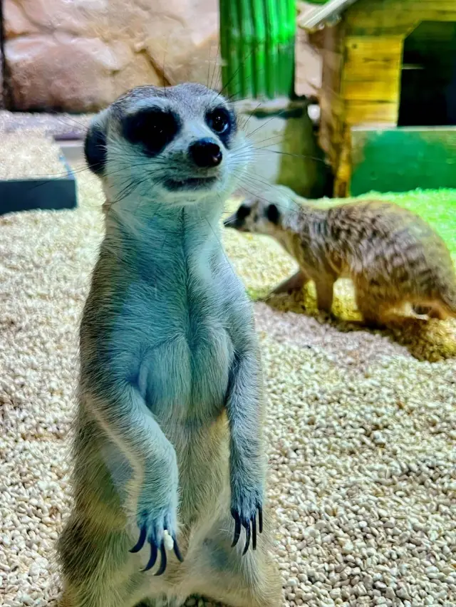 這麼有意思的地方，不允許不知道！