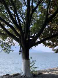 西昌·邛海 四川人自己的海