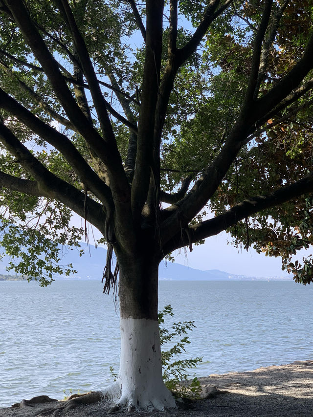 西昌·邛海 四川人自己的海 西昌·邛海 四川人自己的海