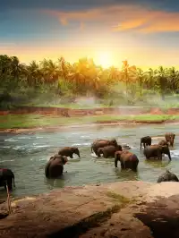 廣州斯里蘭卡+馬爾代夫純玩10天遊