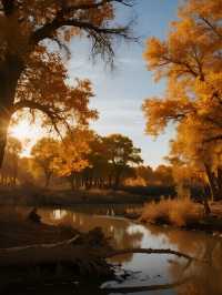 額濟納旗親子賞秋攻略帶娃玩轉胡楊林+沙漠秘境