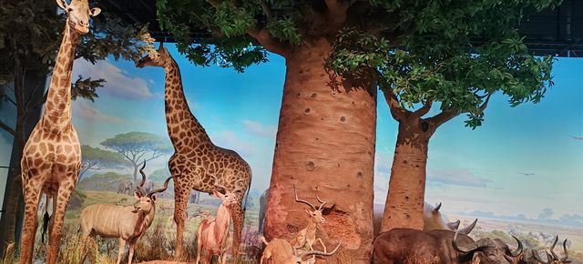 江西5日遊攻略｜南昌進→德安→景德鎮→婺源→望仙谷→南昌