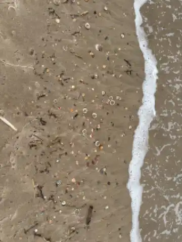 遊蕩西班牙 | 近郊瀉湖