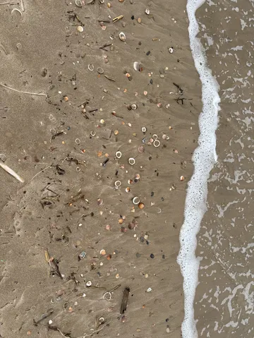 遊蕩西班牙 | 近郊瀉湖 遊蕩西班牙 | 近郊瀉湖