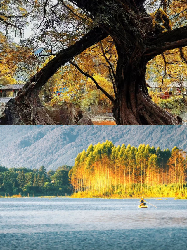 秋遊桂林5日這份攻略不看虧大啦 秋遊桂林5日這份攻略不看虧大啦