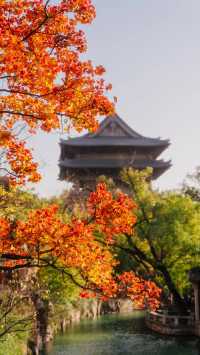 全屏封神 | 理想的秋天,就該這樣熱烈