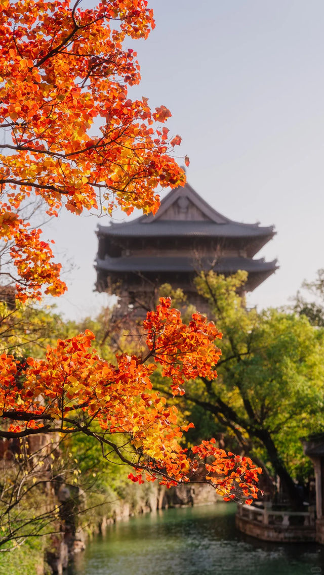 全屏封神 | 理想的秋天,就該這樣熱烈 全屏封神 | 理想的秋天,就該這樣熱烈