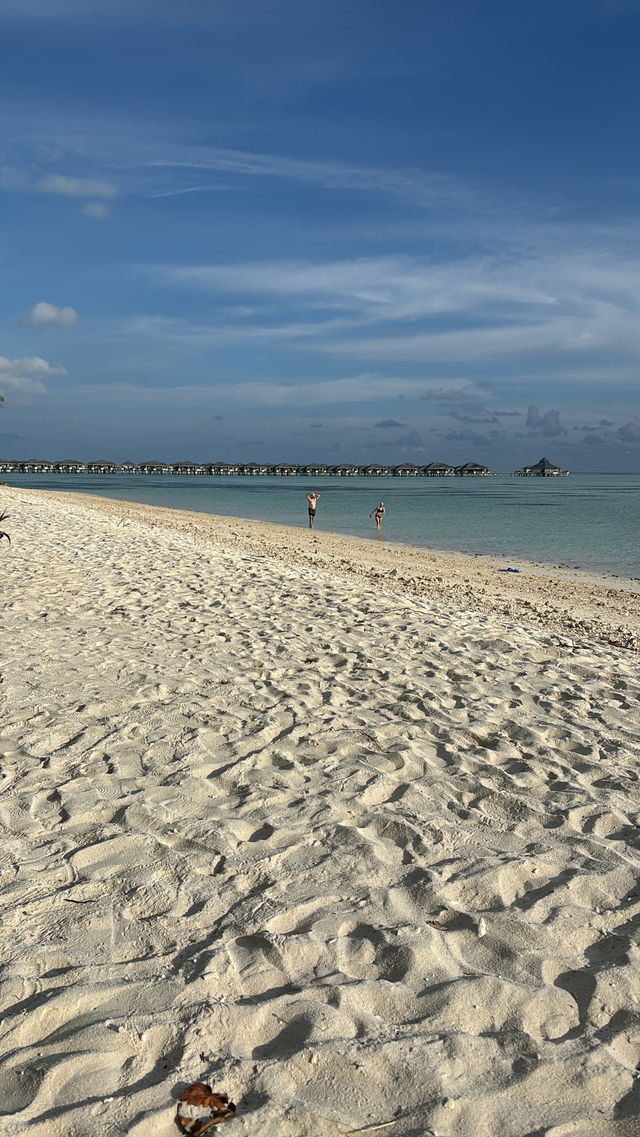 An Exceptional Host at a Beautiful Island An Exceptional Host at a Beautiful Island