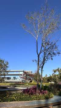 梅子湖花箋｜冬日限定的溫柔詩篇