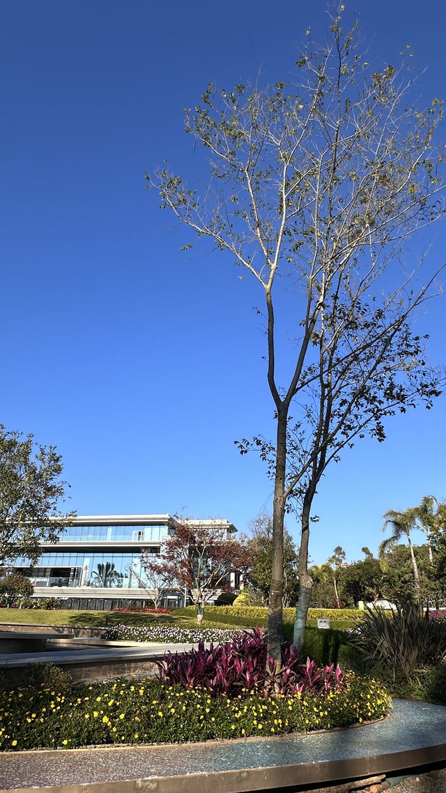 梅子湖花箋｜冬日限定的溫柔詩篇