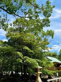 🔥999坐郵輪！5天4晚實探攻略來啦！