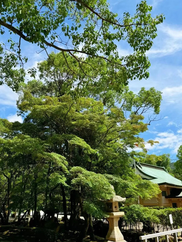 🔥999坐郵輪！5天4晚實探攻略來啦！