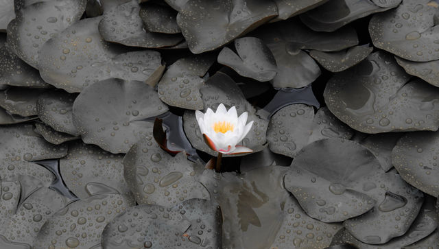 這座山藏著小眾瀑布雲台山 紅石峽