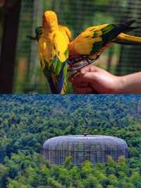 一半是湖水,一半是竹海,溧陽的美,超出你想像!