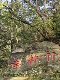 竹林寺∽廬山“空中佛國”！