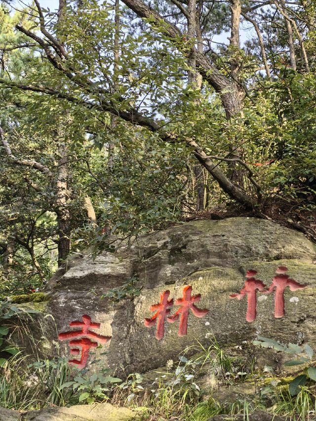 竹林寺∽廬山“空中佛國”！